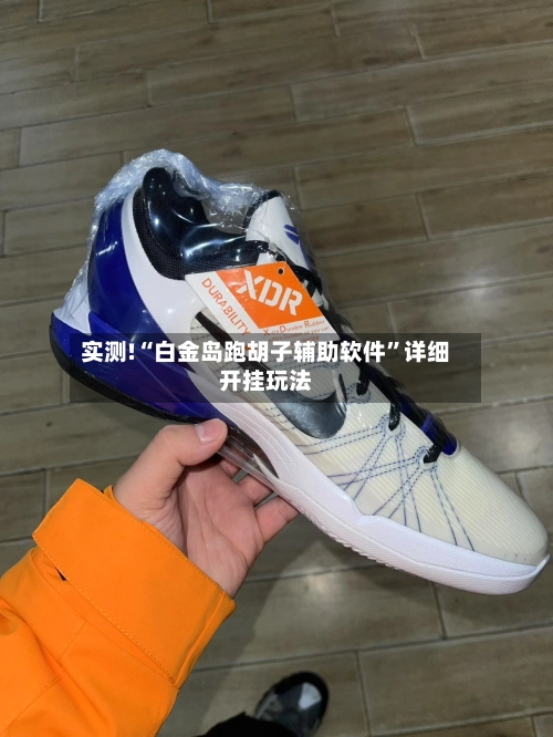 实测!“白金岛跑胡子辅助软件”详细开挂玩法-第1张图片