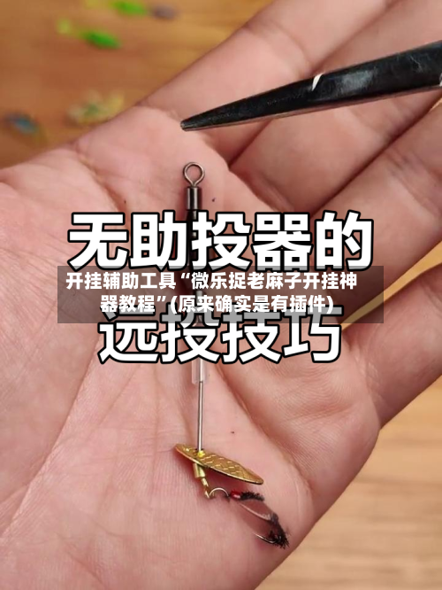 开挂辅助工具“微乐捉老麻子开挂神器教程	”(原来确实是有插件)-第2张图片