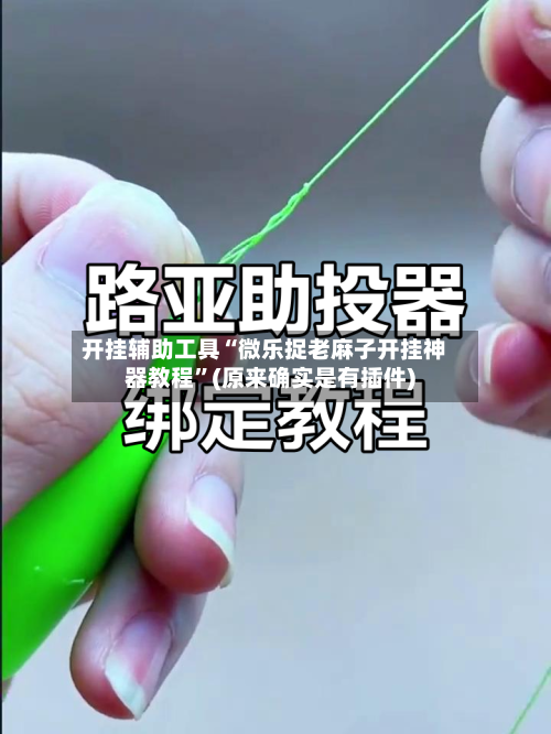 开挂辅助工具“微乐捉老麻子开挂神器教程”(原来确实是有插件)-第1张图片