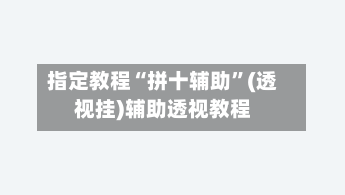 指定教程“拼十辅助”(透视挂)辅助透视教程-第2张图片
