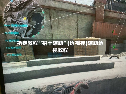 指定教程“拼十辅助	”(透视挂)辅助透视教程-第3张图片