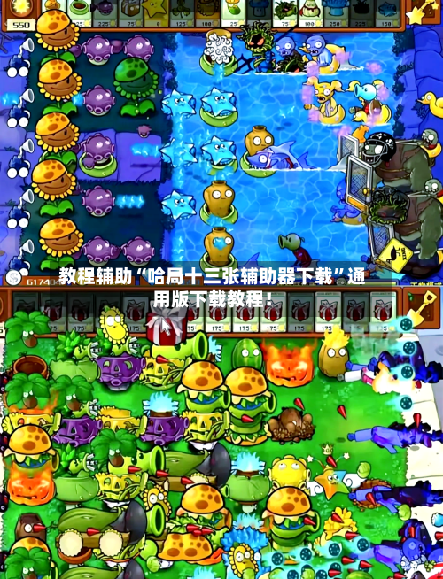 教程辅助“哈局十三张辅助器下载”通用版下载教程！-第1张图片