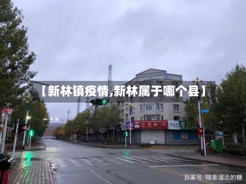 【新林镇疫情,新林属于哪个县】-第2张图片