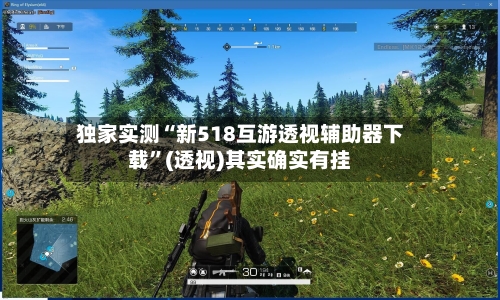 独家实测“新518互游透视辅助器下载	”(透视)其实确实有挂-第1张图片