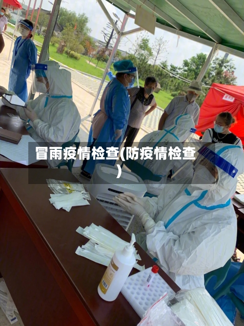 冒雨疫情检查(防疫情检查)-第1张图片