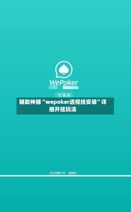 辅助神器“wepoker透视挂安装	”详细开挂玩法-第2张图片