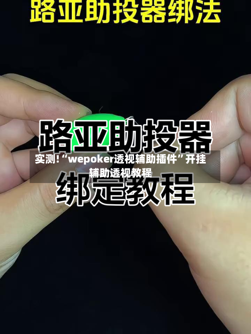 实测!“wepoker透视辅助插件”开挂辅助透视教程-第2张图片