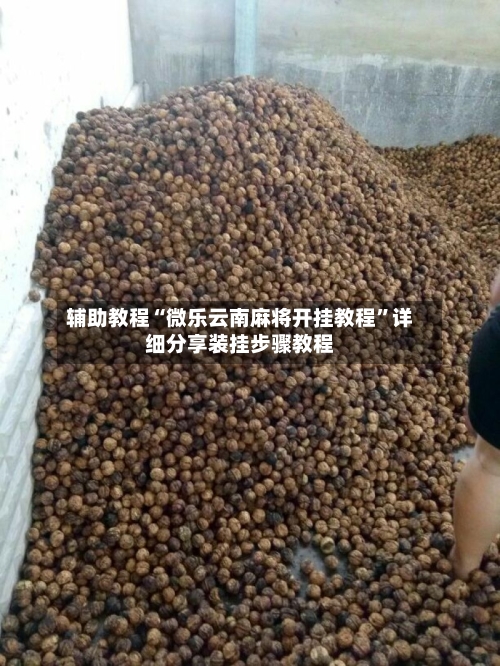 辅助教程“微乐云南麻将开挂教程	”详细分享装挂步骤教程-第2张图片