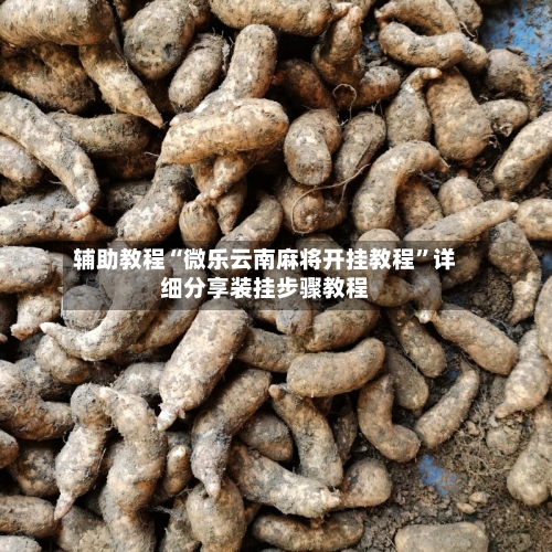 辅助教程“微乐云南麻将开挂教程”详细分享装挂步骤教程-第3张图片