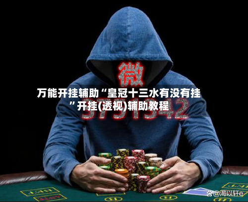 万能开挂辅助“皇冠十三水有没有挂”开挂(透视)辅助教程-第2张图片