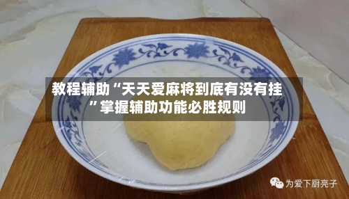 教程辅助“天天爱麻将到底有没有挂”掌握辅助功能必胜规则-第1张图片