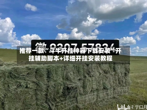 推荐一款“斗牛开挂神器下载安装”开挂辅助脚本+详细开挂安装教程-第2张图片