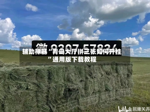 辅助神器“青岛大厅拼三张如何开挂”通用版下载教程-第2张图片