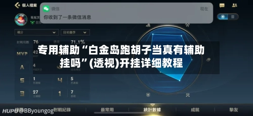 专用辅助“白金岛跑胡子当真有辅助挂吗”(透视)开挂详细教程-第2张图片