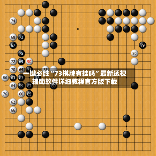 一键必胜“73棋牌有挂吗”最新透视辅助软件详细教程官方版下载-第3张图片
