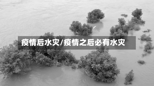 疫情后水灾/疫情之后必有水灾-第1张图片