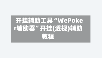 开挂辅助工具“WePoker辅助器”开挂(透视)辅助教程-第2张图片