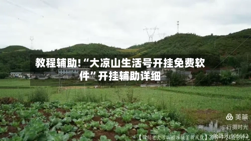 教程辅助!“大凉山生活号开挂免费软件	”开挂辅助详细-第2张图片