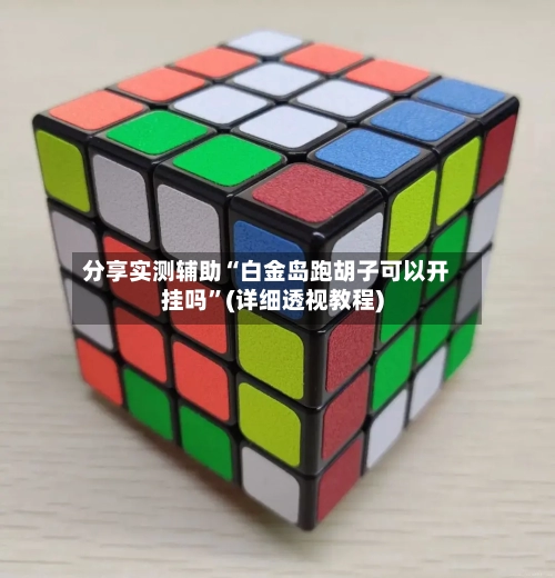 分享实测辅助“白金岛跑胡子可以开挂吗	”(详细透视教程)-第2张图片