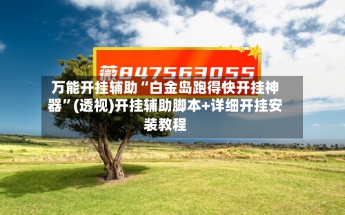 万能开挂辅助“白金岛跑得快开挂神器	”(透视)开挂辅助脚本+详细开挂安装教程-第3张图片
