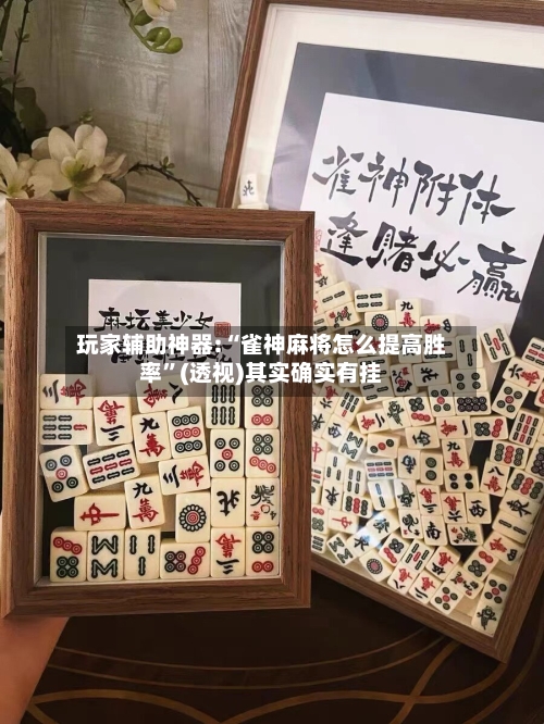 玩家辅助神器:“雀神麻将怎么提高胜率”(透视)其实确实有挂-第3张图片