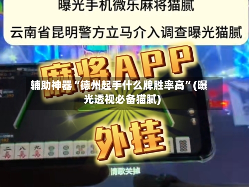 辅助神器“德州起手什么牌胜率高”(曝光透视必备猫腻)-第1张图片