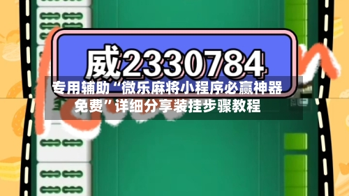 专用辅助“微乐麻将小程序必赢神器免费	”详细分享装挂步骤教程-第2张图片