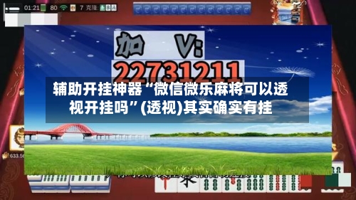 辅助开挂神器“微信微乐麻将可以透视开挂吗”(透视)其实确实有挂-第3张图片