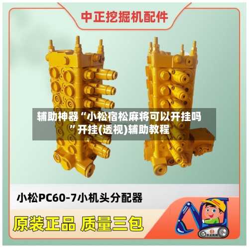 辅助神器“小松宿松麻将可以开挂吗”开挂(透视)辅助教程-第1张图片