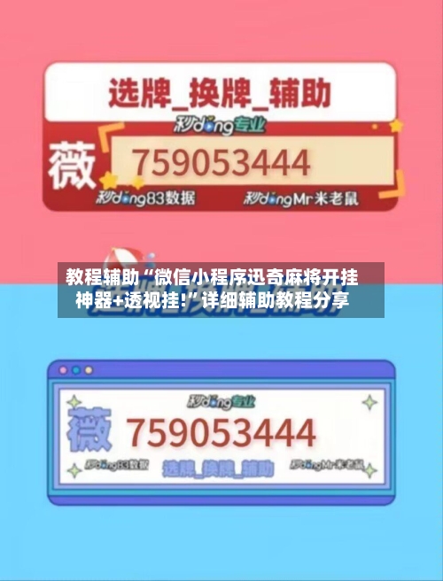 教程辅助“微信小程序迅奇麻将开挂神器+透视挂!	”详细辅助教程分享-第3张图片