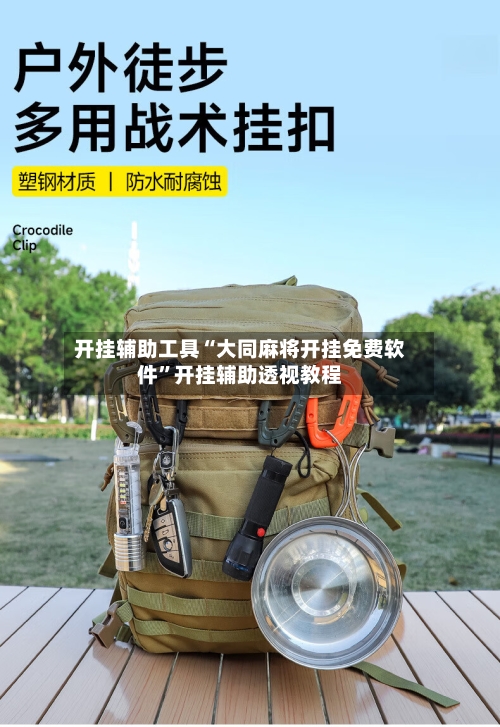 开挂辅助工具“大同麻将开挂免费软件”开挂辅助透视教程-第1张图片