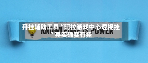 开挂辅助工具“阿拉游戏中心透视挂”其实确实有挂-第2张图片