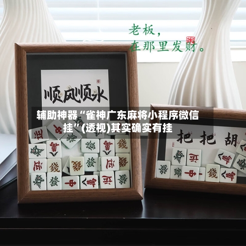 辅助神器“雀神广东麻将小程序微信挂”(透视)其实确实有挂-第2张图片