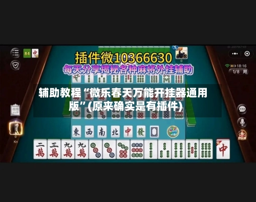 辅助教程“微乐春天万能开挂器通用版”(原来确实是有插件)-第2张图片