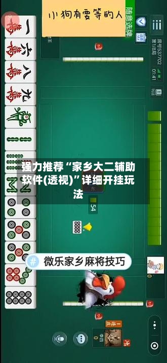 强力推荐“家乡大二辅助软件(透视)”详细开挂玩法-第1张图片