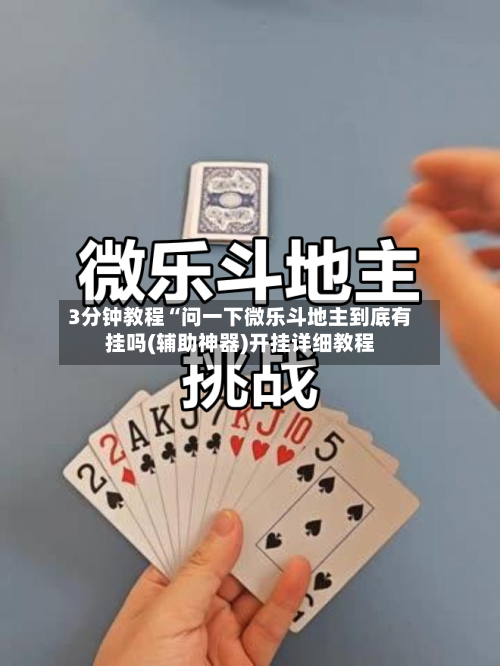 3分钟教程“问一下微乐斗地主到底有挂吗(辅助神器)开挂详细教程-第2张图片
