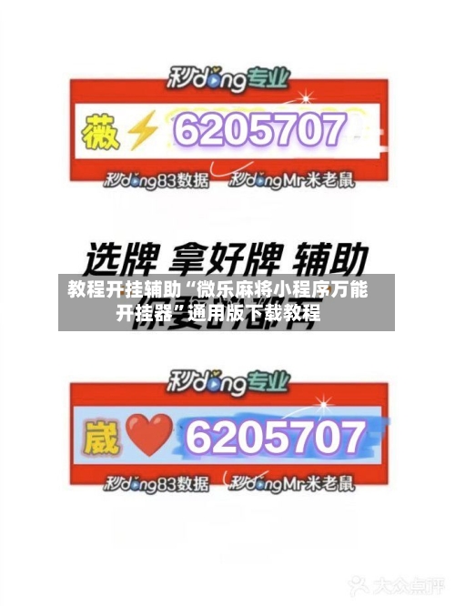 教程开挂辅助“微乐麻将小程序万能开挂器”通用版下载教程-第2张图片