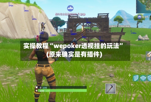 实操教程“wepoker透视挂的玩法”(原来确实是有插件)-第1张图片