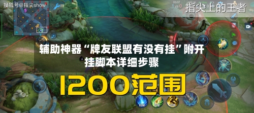 辅助神器“牌友联盟有没有挂”附开挂脚本详细步骤-第3张图片