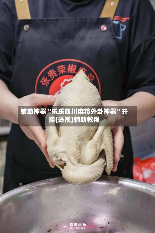 辅助神器“乐乐四川麻将外卦神器”开挂(透视)辅助教程-第1张图片