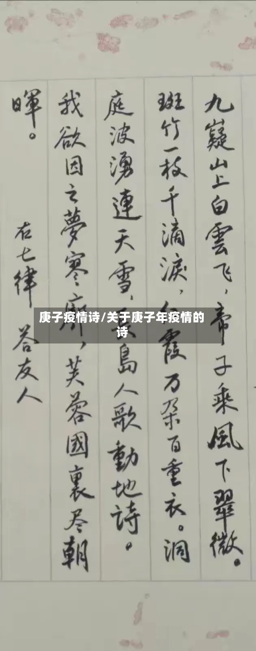 庚子疫情诗/关于庚子年疫情的诗-第3张图片