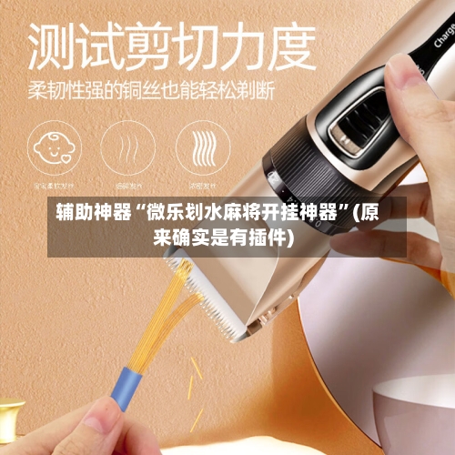 辅助神器“微乐划水麻将开挂神器	”(原来确实是有插件)-第3张图片