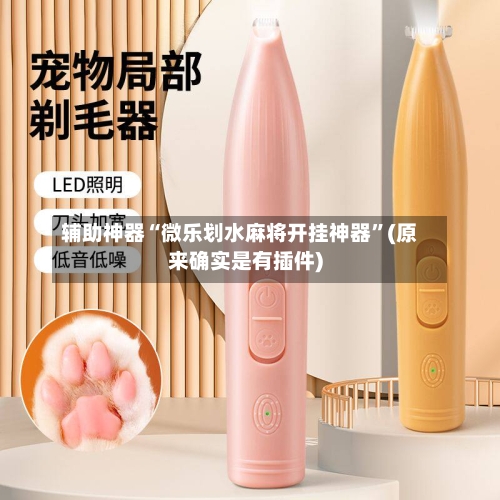 辅助神器“微乐划水麻将开挂神器”(原来确实是有插件)-第2张图片