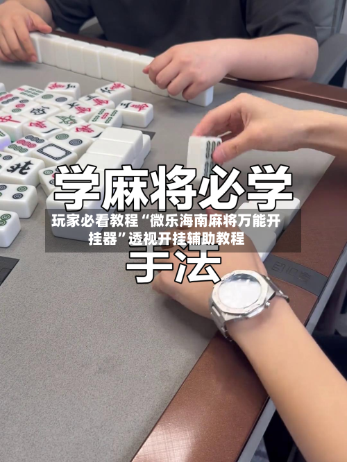 玩家必看教程“微乐海南麻将万能开挂器”透视开挂辅助教程-第3张图片