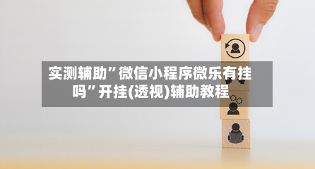 实测辅助”微信小程序微乐有挂吗	”开挂(透视)辅助教程-第3张图片