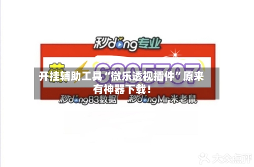 开挂辅助工具“微乐透视插件”原来有神器下载！-第3张图片