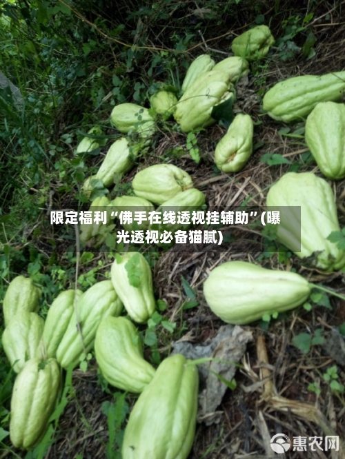 限定福利“佛手在线透视挂辅助”(曝光透视必备猫腻)-第1张图片