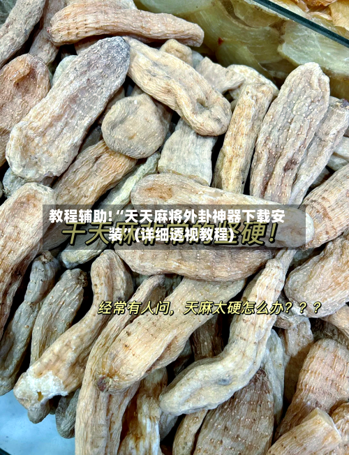 教程辅助!“天天麻将外卦神器下载安装”(详细透视教程)-第1张图片