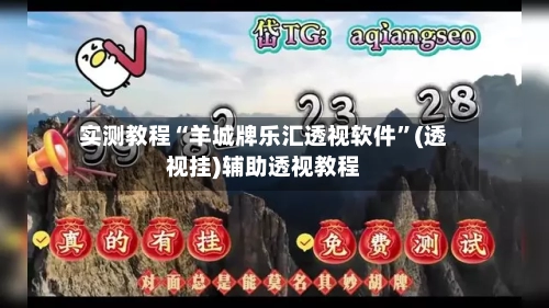 实测教程“羊城牌乐汇透视软件”(透视挂)辅助透视教程-第3张图片