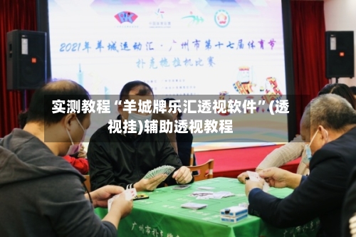 实测教程“羊城牌乐汇透视软件”(透视挂)辅助透视教程-第2张图片